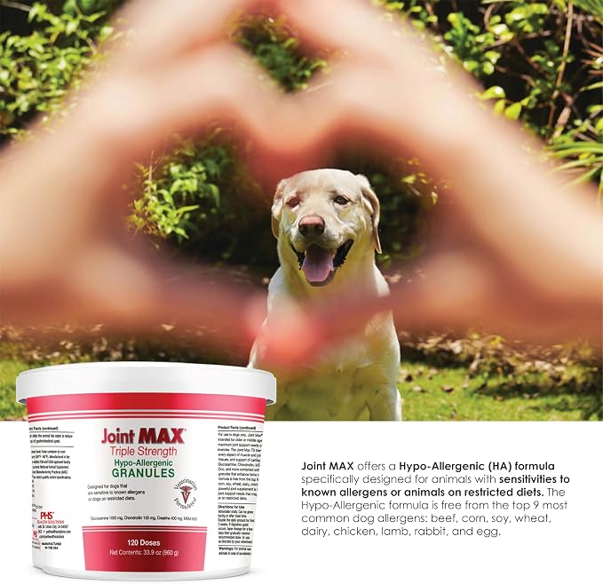 Triple Strength HA Granules for Dogs, Glucosamine, Chondroitin, Creatine, MSM and Antioxidants - Hip and Joint Support Supplement, 120 Doses