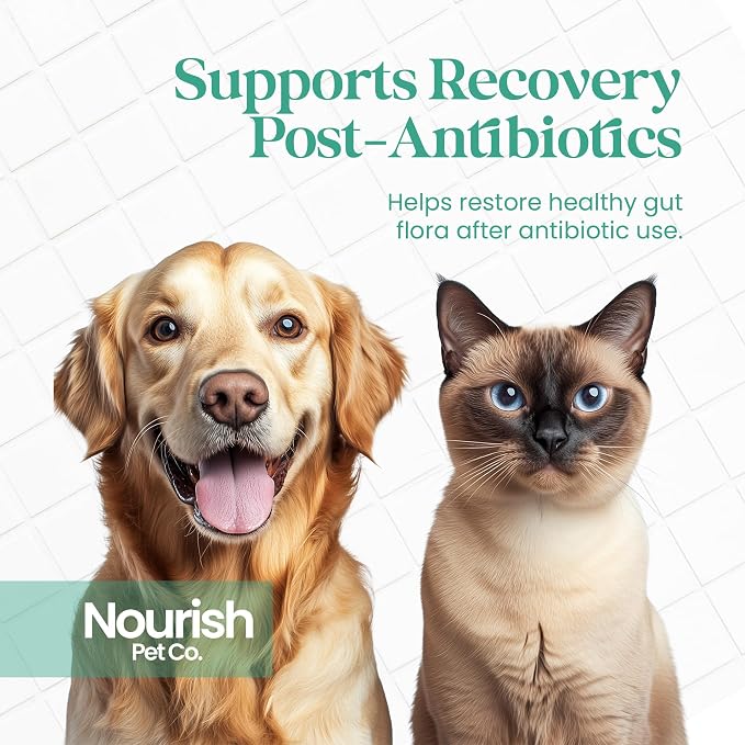 Nourish Pet Co. Probiotic Supplement for Dogs & Cats – 5 Billion CFU Digestive Support Formula with Prebiotics, Gut Health Balance, Immune Support, and Digestive Enzymes for Daily Pet Wellness