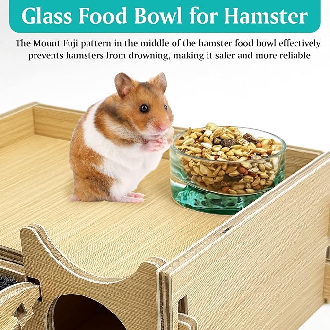 BNOSDM 2Pcs Hamster Food and Water Bowl Mountain Fuji Style Glass Drinking Dwarf Hamster Feeder and Rabbit Grinding Claw Pads Natural Lava Stone Teeth Grinding Scratching Pad Chew Toy for Small Animal