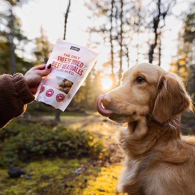 Natural Rapport Freeze Dried Beef Meatballs Dog Treats - Pasture Raised Beef & Liver, High Protein Training Treats (4 oz) (40+ Treats)