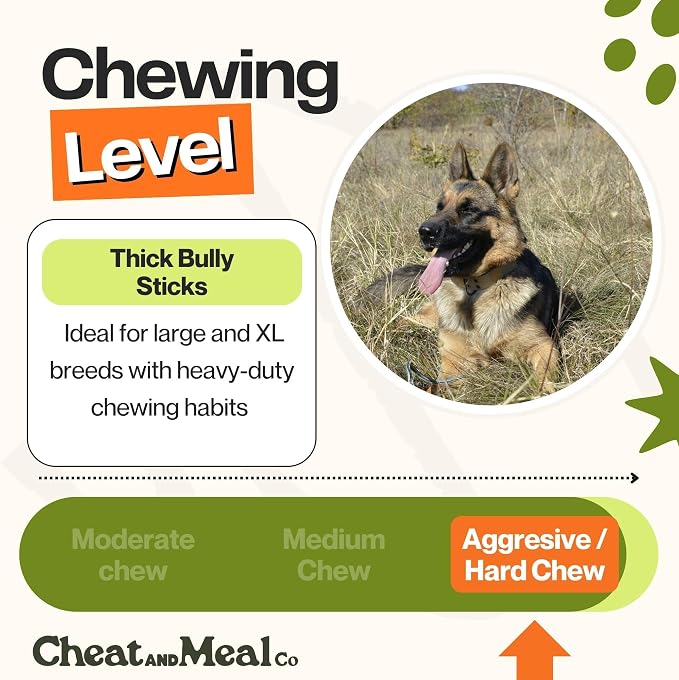 Extra Thick Bully Sticks for Large Dogs & Aggressive Chewers - 6 Inch (5 Count), Long Lasting Dog Chews, 100% Grass-Fed Beef, Single Ingredient, Rawhide-Free, Free Range