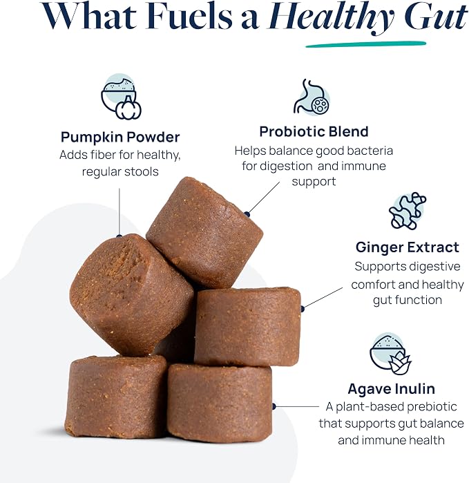 Veterinary Formula Gut Health Supplement for Dogs – Vet-Formulated Probiotic Chews with Digestive Enzymes & Fiber – Smart Vitality Supports Digestive Health, Gut Balance & Stool Quality, 60 Soft Chews