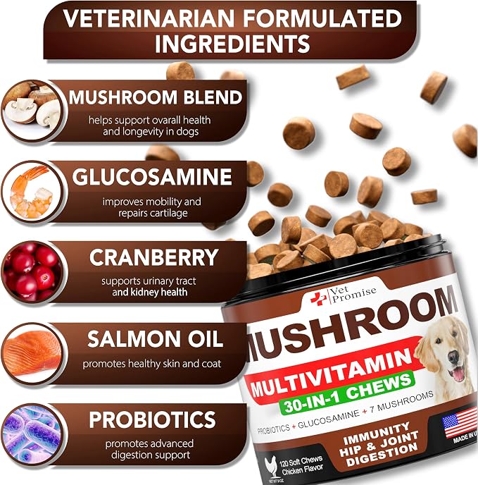 (2 Pack) Turkey Tail Mushroom for Dogs - 340 Chews - Mushroom Supplement for Dogs - Lions Mane - Reishi - Immunity Support Multivitamin Vitamins - Joint Health - Energy - Gut - Skin - Made in USA