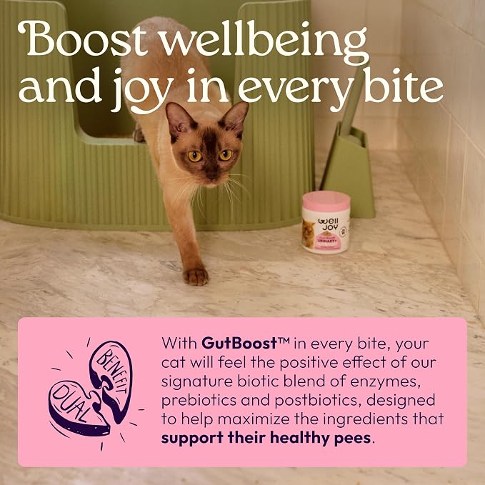 New! WellJoy Cat Supplement Urinary+ GutBoost | Cat Health Supplement | Supports Urinary Tract Health | Dual-Benefit GutBoost Formulation | Vet Formulated | USA Made | Chicken Flavor | 90 Soft Chews
