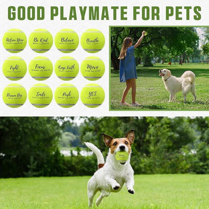 Soulchen 48 Pack Pressureless Tennis Balls Inspirational Training Tennis Balls Bulk Coach Beginner Practice Supplies Pet Dog Toys Indoor Outdoor