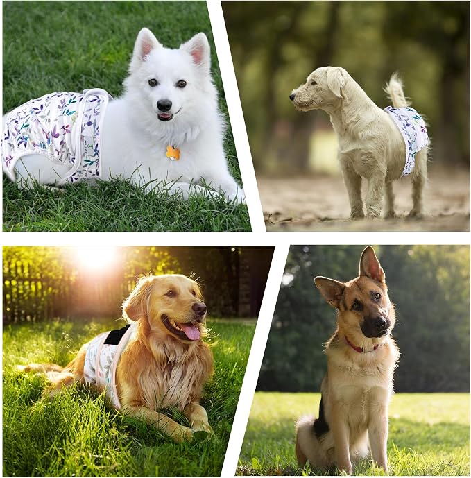 Washable Female Dog Diapers 3Pack,Reusable Diaper for Doggie,Highly Absorbent Dog Diaper,Adjustable Leakproof Puppy Diapers Skirt for Heat,Incontinence,Period Doggy Nappies XXL