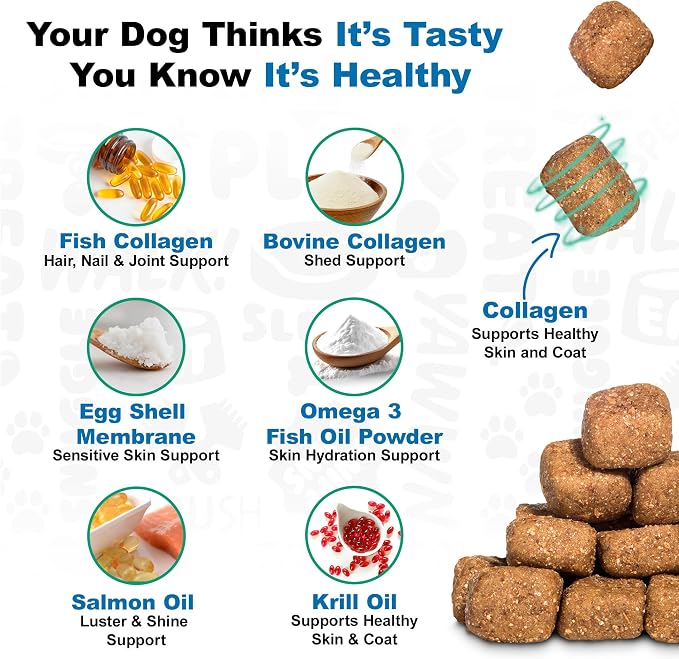 Doggie Dailies Skin & Coat Supplement Support, Salmon Oil for Dogs Skin and Coat with Collagen, Omega 3, Krill Oil, Biotin, & Coconut Oil for Dogs (Salmon) 225 Soft Chews