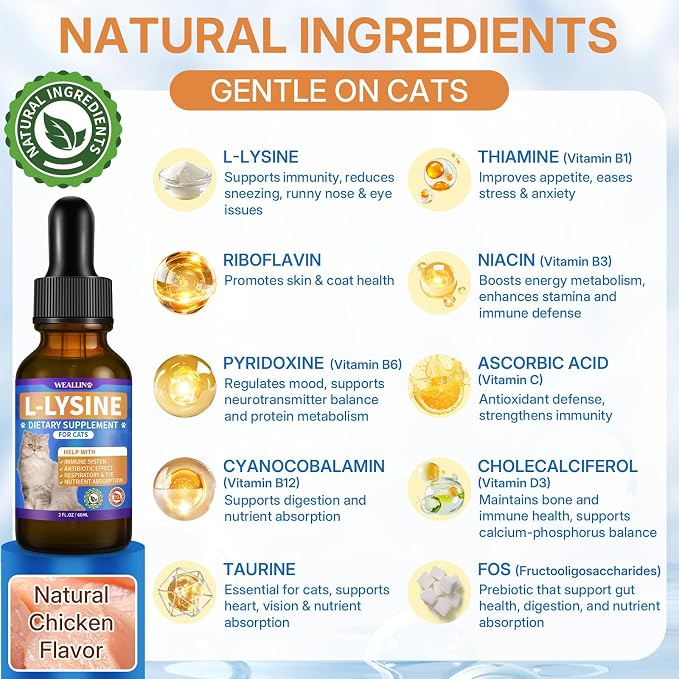 Cat & Dog Natural Urinary Tract Infection Treatment for Kidney & Bladder Care + L-lysine Supplement for Cats to Boost Cat Immunity, Immune & Urinary Health Support for Cats & Dogs