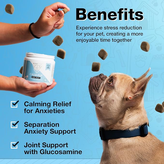 Organic Hemp Oil Infused Calming Chews for Dogs Anxiety - Dogs Essentials for Relief from Travel, Thunder, Separation, Barking, and Fireworks, Joint Pain, Arthritis, Pain Support Calm Pup