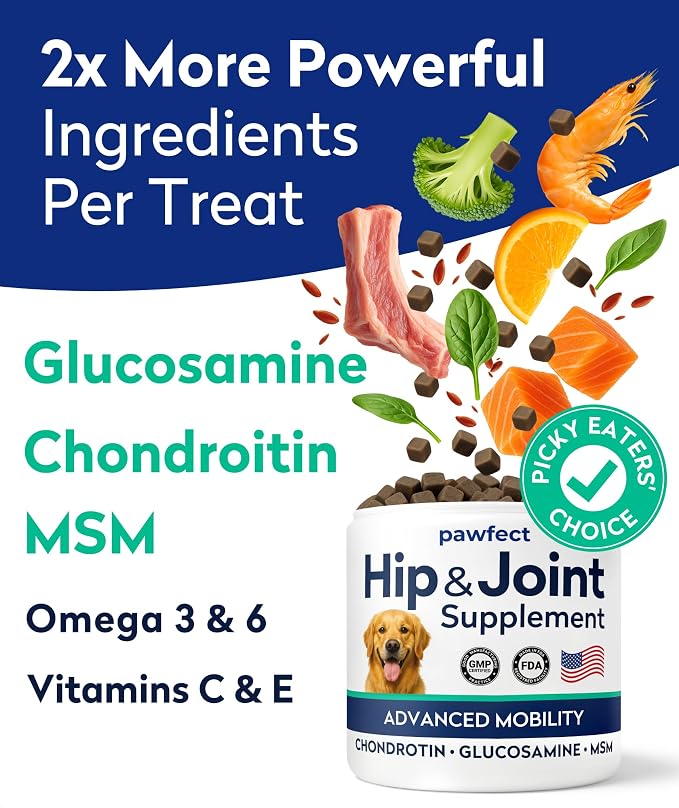 PAWFECTCHEW Glucosamine Dog Treats for Picky Eaters - Joint Supplement w/Chondroitin, MSM, Omega-3 - Joint Pain Relief - Advanced Formula - Chicken Flavor - 180 Ct - Made in USA