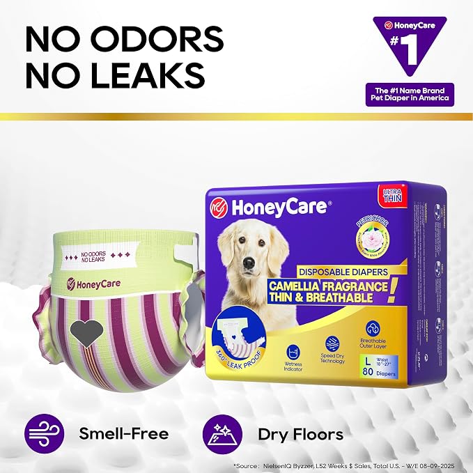 HONEY CARE Petrichor Female Dog Diaper, Camellia Fragrance, Emits Fresh Scent While Absorbing Urine, Thin & Breathable, L, 80 Count