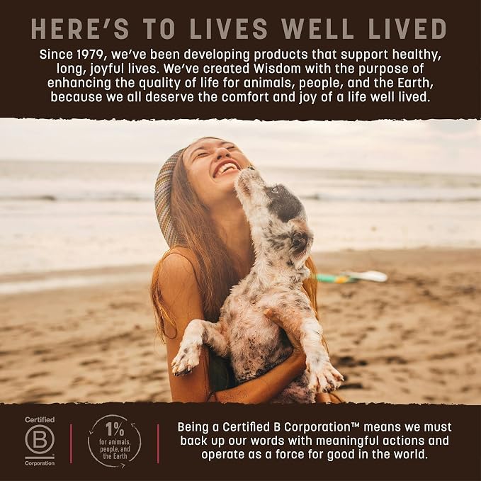 Earth Animal Wisdom Air-Dried Jerky from the Land Recipe | Dog Treats | Dog Snacks | Premium Natural Red Meat Jerky Strips | 4 oz | Made in the USA (Pack of 1)