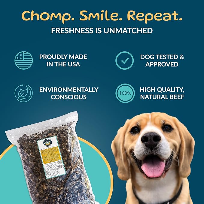 TREATOPIA Beef Lung Nuggies Dog Treats – Single Ingredient, High Protein, Low Odor, Natural Crunchy Training Treats for Dogs – USA Sourced, Grain-Free, All-Natural (4 lb Bag)