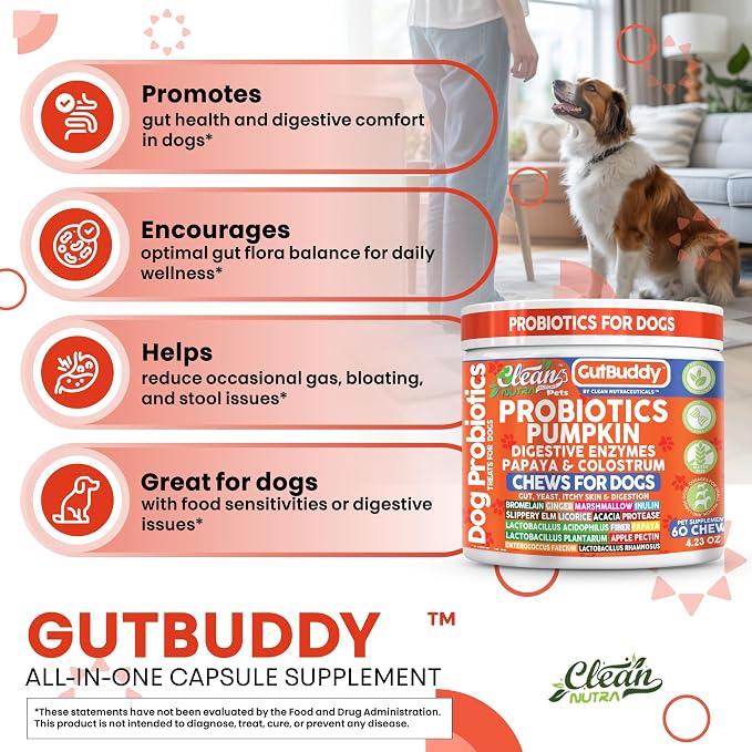 Gut Health Probiotics for Dogs + Pumpkin Colostrum Digestive Enzymes Ginger Slippery Elm Licorice Inulin Fiber Soft Chews Dog Probiotic Beef Flavor Digestion Supplement Treat Bites Large & Small Pets