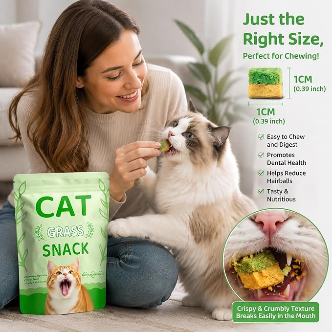 Cats Toy Kitten Grass Treats 135g/4.76oz Freeze Dried 2 in 1 Fish Oil Cat Chew Stick Pellet for Hairball Removal Kitty Catnip Snack Chicken Flavor for Cleaning Teeth & Dental Care Food Indoor