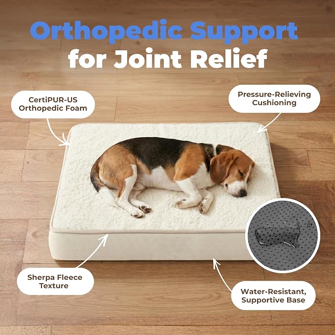 Best Pet Supplies Orthopedic Dog Bed with Memory Foam, Washable Dog Crate Mat for Small, Medium & Large Dogs, Thick Mattress for Crates, Kennels or Floor, Waterproof Pet Bed - Beige, 35 x 22 x 4