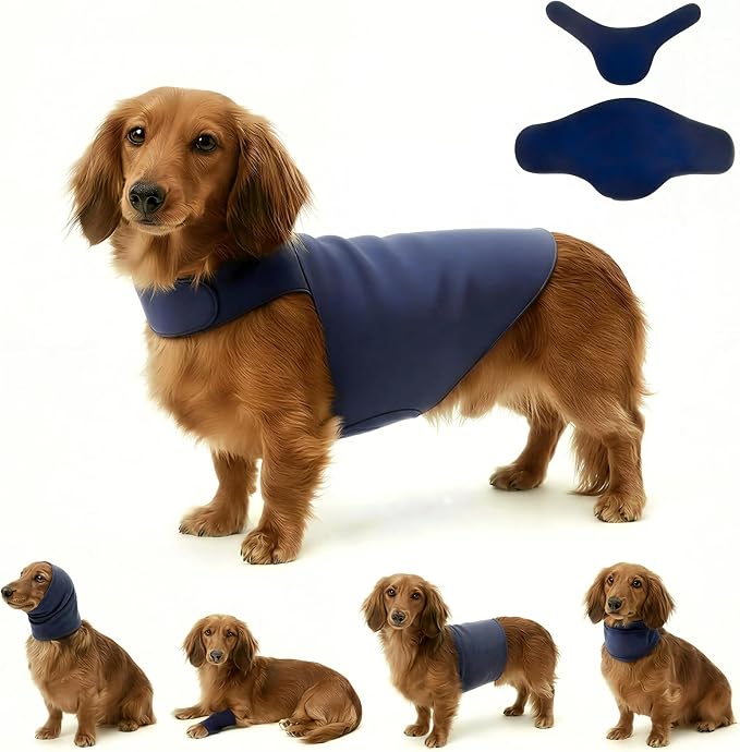 DAJIDALI® Dog & Cat Anxiety Vest & Spay Recovery Suit – Silent Adjustable Calming Wrap for Surgery & Thunderstorms – 2-Piece Cone & Recovery Onesie Alternative