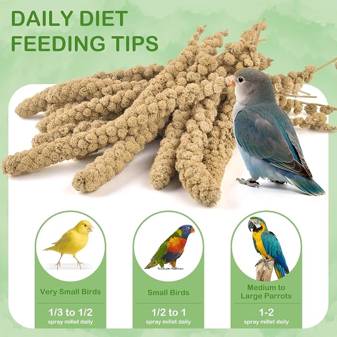 ERKOON 2.5LB Spray Millet Treat, All Natural Sun-Dried Healthy Treat Parrot Food Bird Snack for Parakeets, Lovebirds, Cockatiels, Finches, Budgies, Canaries Hamster, Bird Food Bulk