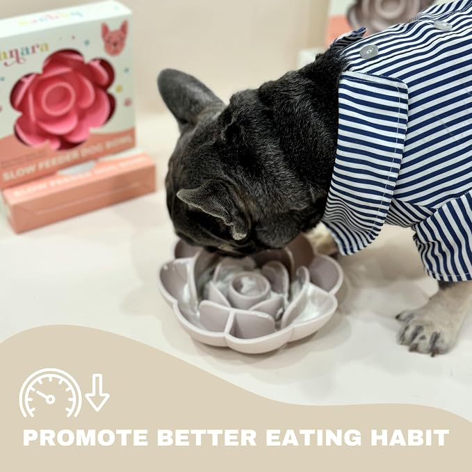 Hanara Sillicone Slow Feeder Dog Bowls & Lick Mat with Suction Bottom | Rose Petals Design | Promotes Better Digestion, Prevent Choking | Dish Washer Safe | Great Size for All Breed (Misty Gray)