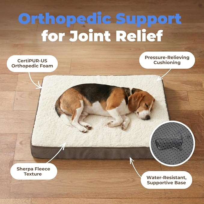 Best Pet Supplies Orthopedic Dog Bed with Memory Foam, Washable Dog Crate Mat for Small, Medium & Large Dogs, Thick Mattress for Crates, Kennels or Floor, Waterproof Pet Bed - Brown, 24 x 16 x 3
