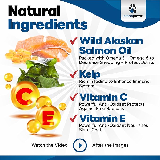 Plano Paws Wild Alaskan Salmon Oil for Dogs - Omega 3 Chews for Skin Coat Shedding Itch Relief - Supports Heart Mobility Cognition - 120 Soft Chews