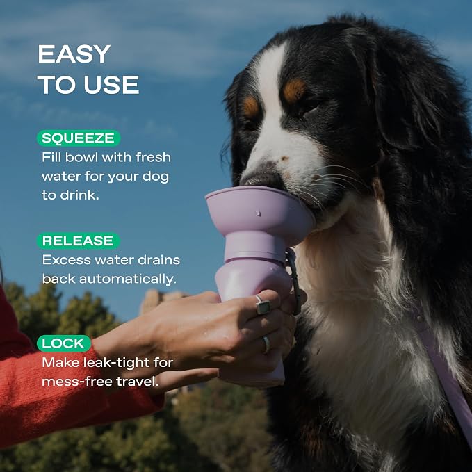 Springer Flip Portable Dog Water Bottle with Foldable Food Grade Silicone Bowl - 20 Ounce Travel Dog Water Bottle Ideal for Camping - Easy Squeeze Hydration & Release to Drain Lilac