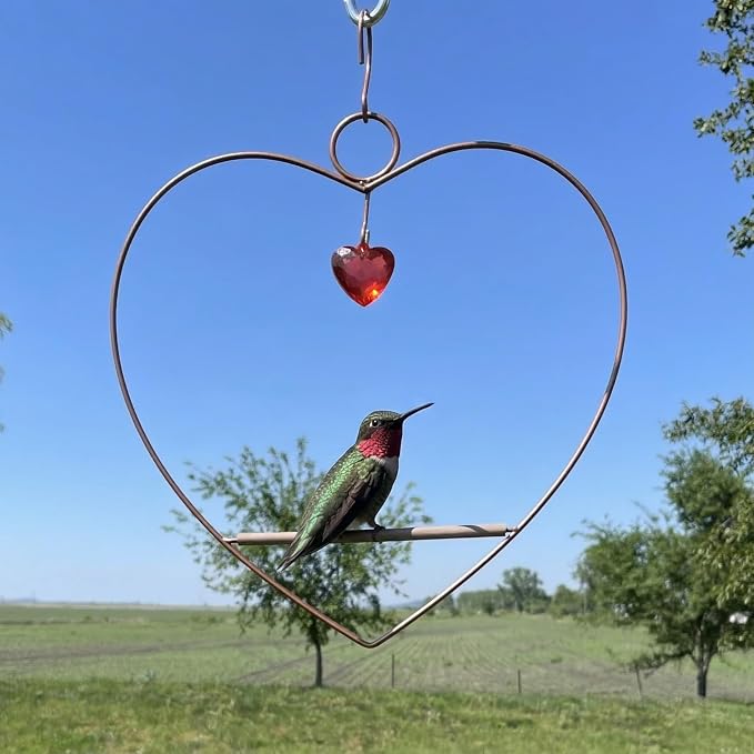 Songbird Essentials Hummingbird Swing - Tweet Heart Birdie Swing - Copper Color Hummingbird Perch