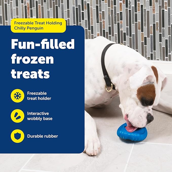 PetSafe Chilly Penguin - Freezable Dog Toy for Medium and Large Dogs - Fill and Freeze - Frozen Dog Toy to Fill with Treats - Interactive Pet Puzzle for Boredom or Separation Anxiety, ML (Pack of 2)