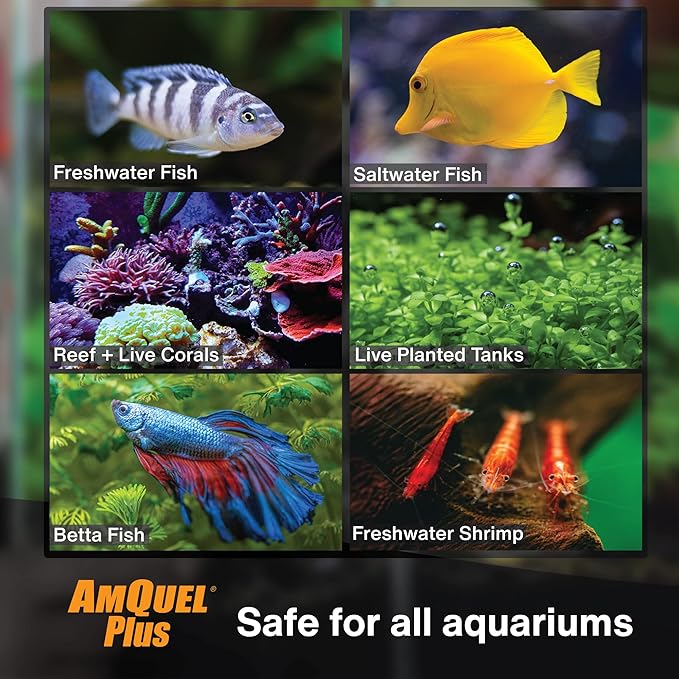 Kordon AmQuel Plus Aquarium Water Conditioner - Instantly Detoxifies Ammonia, Nitrite, Nitrate, and Chlorine Remover for Freshwater & Saltwater Aquariums, 16 Ounces