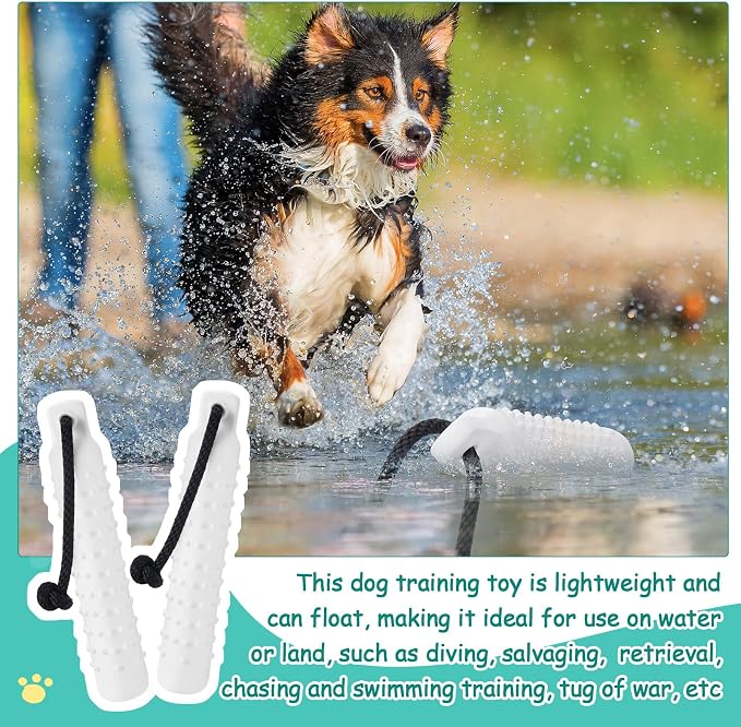 Blueweenly 6 Pcs Dog Bumper Toy for Water Retrieving Plastic Puppy Training Dummy Dog Float Toy Lightweight for Float on The Water Pool Outdoor Training Hunting Fetching (White)
