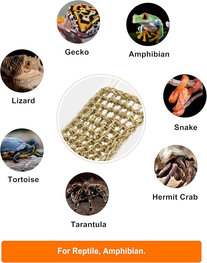 Bearded Dragon Hammock Reptile Lounger for Chameleon, Lizards, Geckos, Snakes, Lguana Reptiles, Tortoises Reptile & Amphibian Habitat Décor