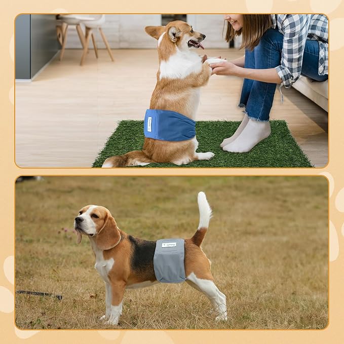 Teamoy Reusable Wrap Diapers for Male Dogs, Washable Puppy Belly Band Pack of 3 (S, 10"-13" Waist, Light Blue+ Dogs+Coffee)