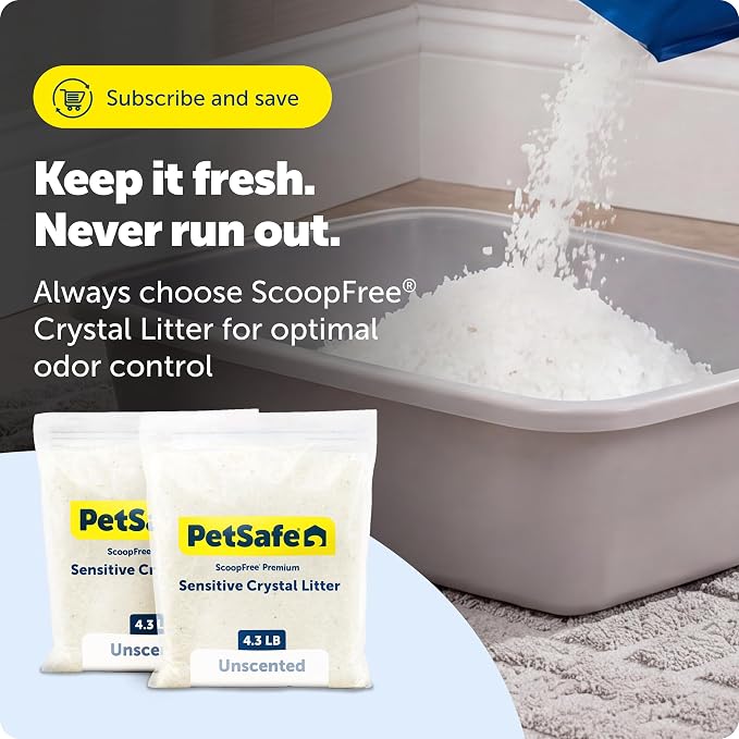 PetSafe ScoopFree Premium Crystal Cat Litter - Outperforms Clay Litter - Refill Packs - Reusable Tray Compatible - Fragrance Free - 4.3 lb Bags - 2 Pack