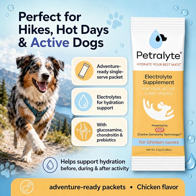 Petralyte Dog Electrolytes and Joint Supplement | Hydration Support for Dogs w/Glucosamine, Chondroitin & More | Electrolytes for Dogs with Prebiotics | for Chicken Lovers | 32 Packets