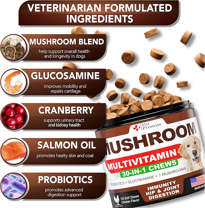 Turkey Tail Mushroom for Dogs - 170 Chews - Mushroom Supplement for Dogs - Lions Mane - Reishi - Immunity Support Multivitamin Vitamins - Joint Health - Energy - Gut - Skin - Made in USA