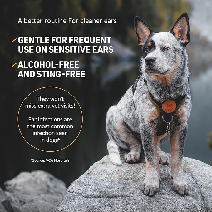 Veterinary Formula Clinical Care Ear Therapy Bundle with Cleaner Solution 8 Fl Oz + Cleaner Wipes 100 ct – Cat & Dog Ear Cleaner, Helps Soothe Itchiness and Clean The Ear Canal of Debris and Buildup
