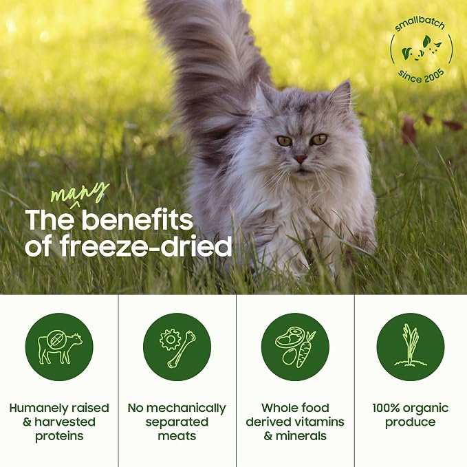 smallbatch Freeze-Dried Raw Cat Food, Shelf Stable Food Bites, Chicken Recipe, High Protein Meal or Topper for Cats, Humanely Raised Meat, Organic, Non-GMO Produce, Made in the USA, 10oz Bag