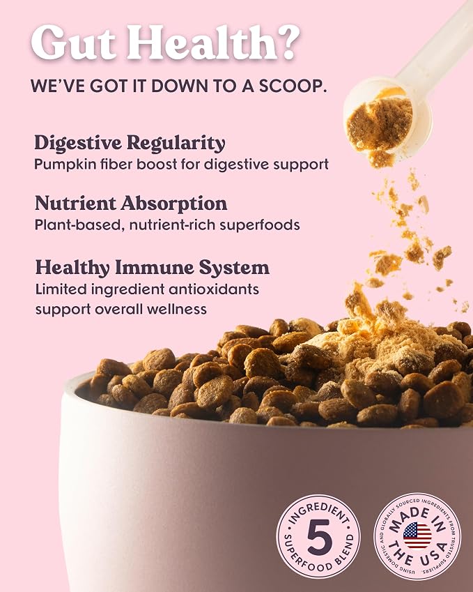 Bundle x Joy Superfoods with Pumpkin for Dogs Daily Boost, Vegan Digestive Support, Gut Health for Dogs, Supports Stomach Upset & Loose Stools, Dog Supplements Made in USA - 35 Scoops