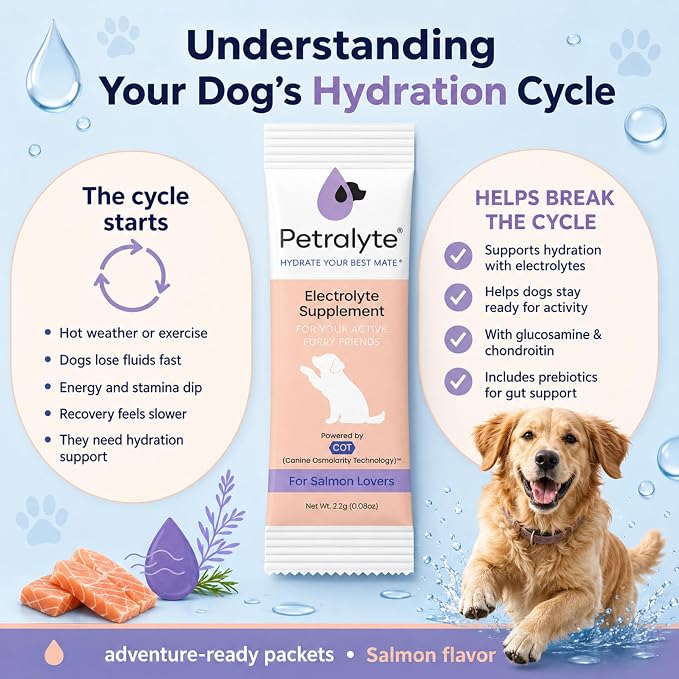 Dog Electrolytes and Joint Supplement | Hydration Support for Dogs w/Glucosamine, Chondroitin & More | Electrolytes for Dogs with Prebiotics | Salmon Lovers | 32 Packets
