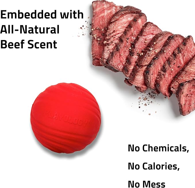 Playology Dog Toys | Dual Layer Ball Durable Chew Toy for Tough Chewers | Beef Scented Medium Dog Toy | Chew Toys for Dogs