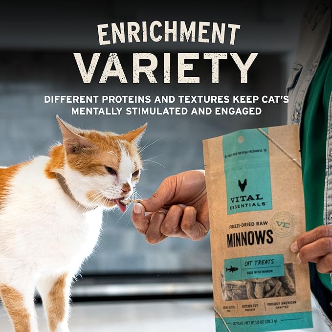 Vital Essentials Freeze Dried Minnows Cat Treats | Single Ingredient | Premium Quality | Grain Free, Healthy Treats for Cats, 1 oz Bag