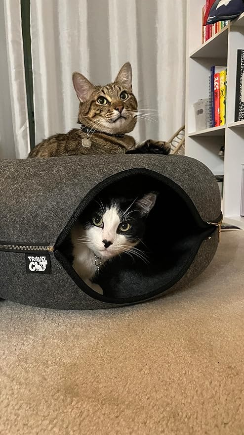 Fat Cat Backpack Carrier in Deep Rose Pink & Grey Donut Cat Tunnel Bed – Airline Approved Pet Carrier with Bubble Window & Cozy Cat Cave for Travel, Play, and Rest