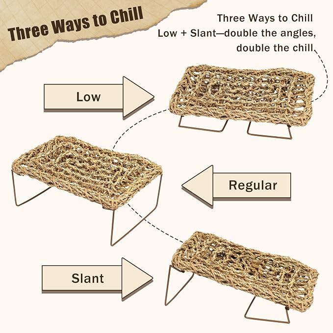 Bearded Dragon Hammock, Seagrass Reptile Basking Platform with Foldable Metal Frame, Collapsible Habitat Accessory for Leopard Gecko, Snake, Frog, Crab (2-Pack)