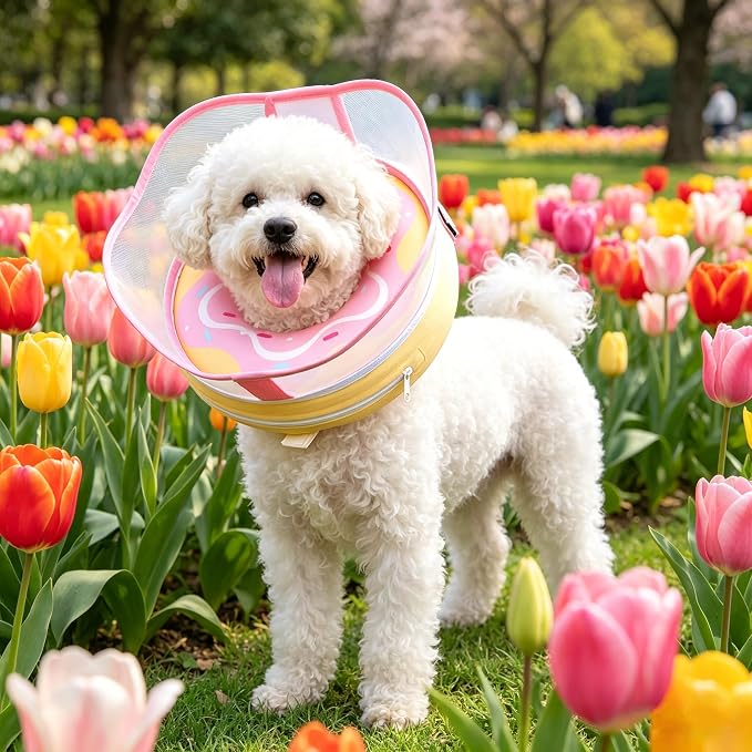 Dog Donut Collar, Inflatable Dog Cone Collar for Dogs to Stop Licking (Light Pink, XL)