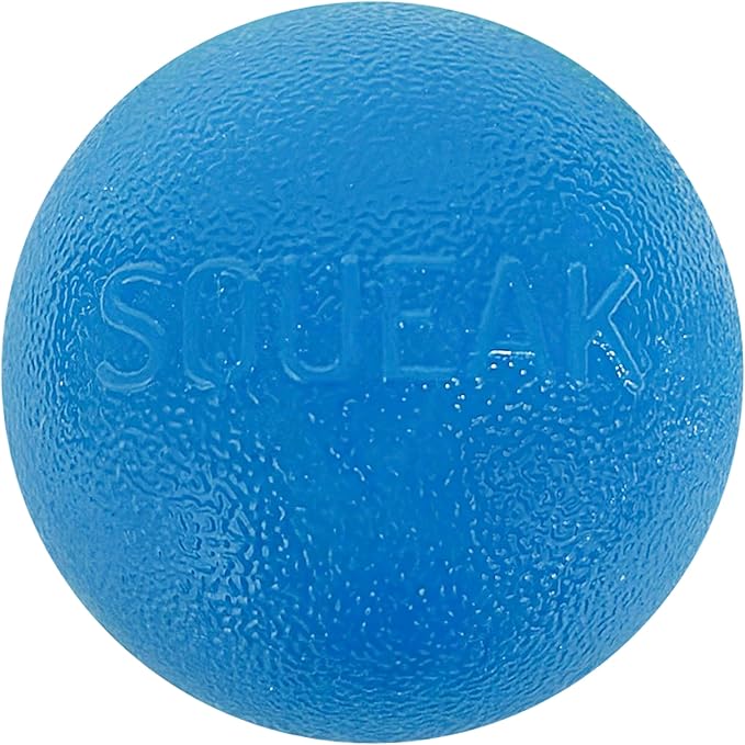 Outward Hound by Planet Dog Squeak Ball Bouncy Fetch Dog Toy, Blue