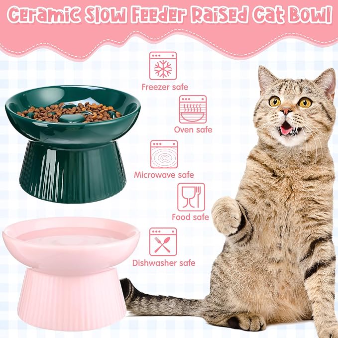 Tioncy 2 Pcs Raised Cat Slow Feeder Bowl Ceramic Elevated Cat Dog Food Bowl No Spill High Edge for Dry Wet Food and Water Easy to Clean, Dishwasher Safe (Pink,Dark Green)