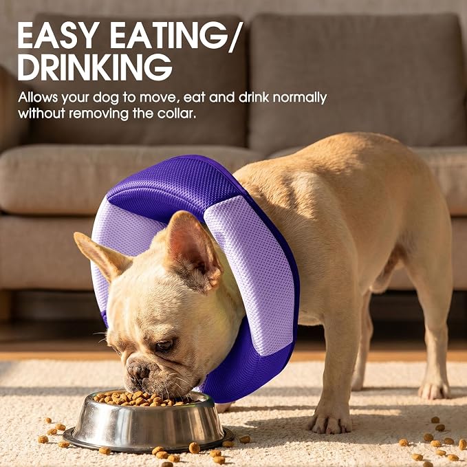 Dog Cone - Soft Cone for Dogs to Stop Licking, Pet E-Collar Alternative After Surgery, Adjustable Pet Recovery Collar for Wound Healing, Purple Medium