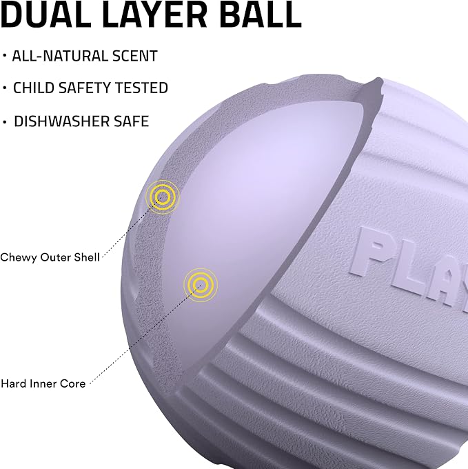 Playology Dog Toys | Dual Layer Ball Durable Chew Toy for Tough Chewers | Lamb Scented Medium Dog Toy | Chew Toys for Dogs