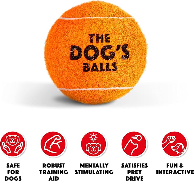 The Dog's Balls Dog Tennis Balls Tough 2.5" 12-Pack Orange Floats in Water | Our fetch balls combine non-abrasive felt exterior and a thicker rubber core Durable Dog Toy for Outdoor Play & Training