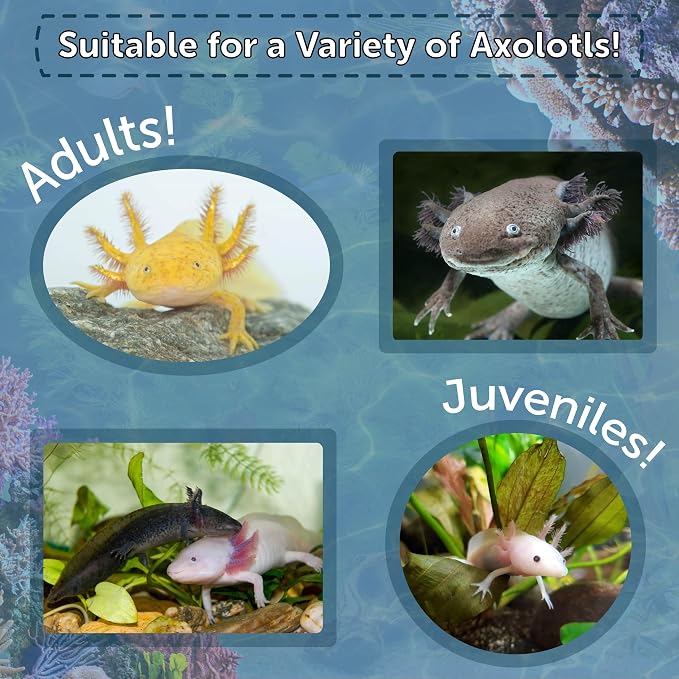 Axolotl Food, 3/16" Soft Moist Sinking Pellets, Rangen's Salmon Meal Pellets for Medium & Adult Axolotl. Also Shrimp, Snails, Crabs, All Tropical Fish...11oz Small Jar